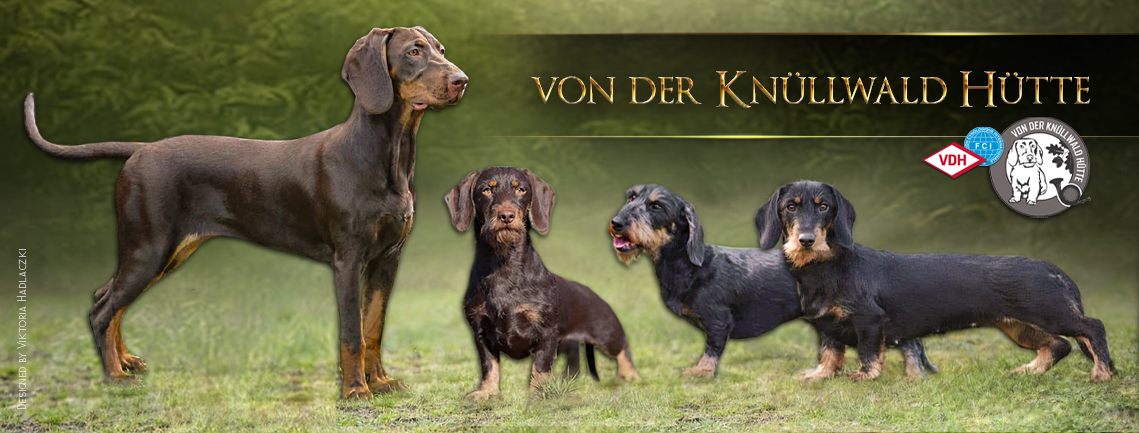 fb cover_von-der-knuellwald-huette Startseite